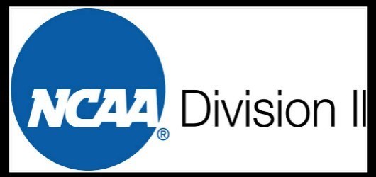 On-demand audio: Division II membership call: Release of the Academic Success Rate data & NCAA Division II federal graduation rates